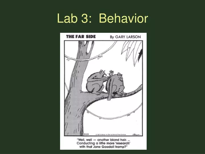 lab 3 behavior