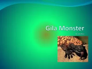 Gila Monster