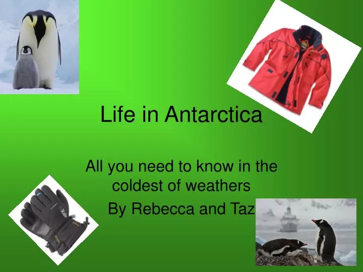 life in antarctica