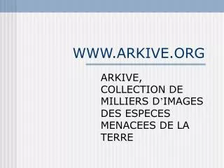 www arkive org