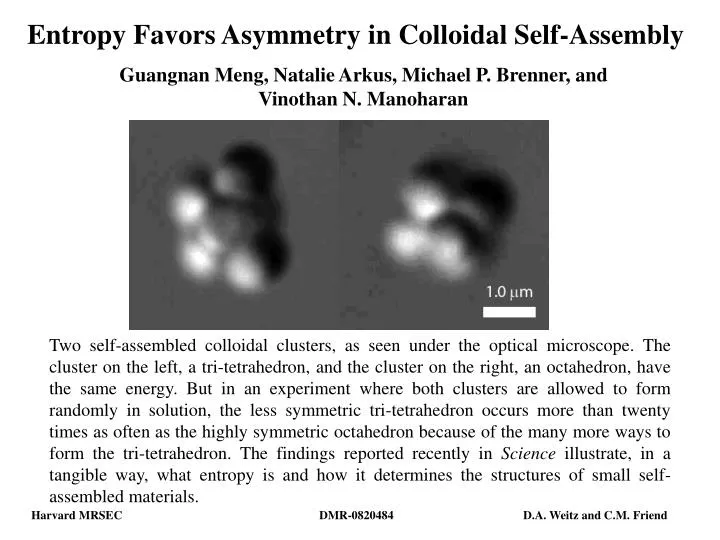 entropy favors asymmetry in colloidal self assembly