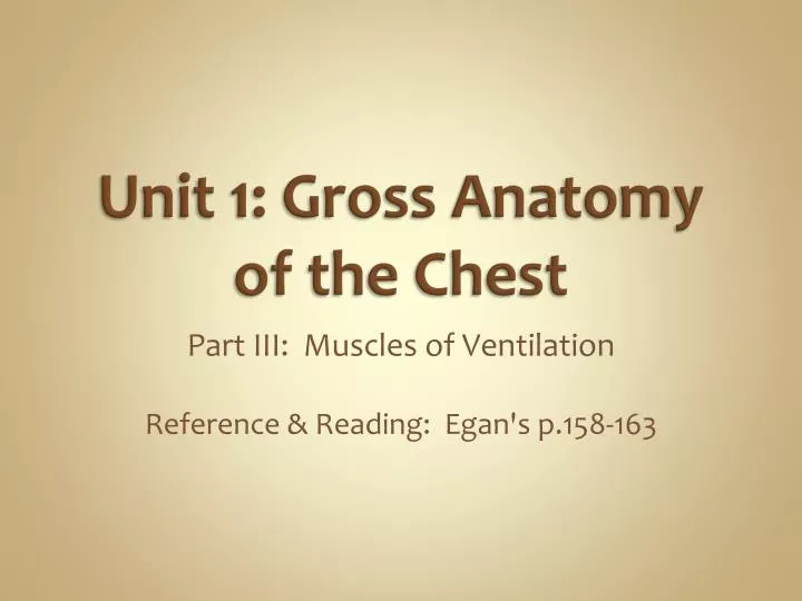 unit 1 gross anatomy of the chest