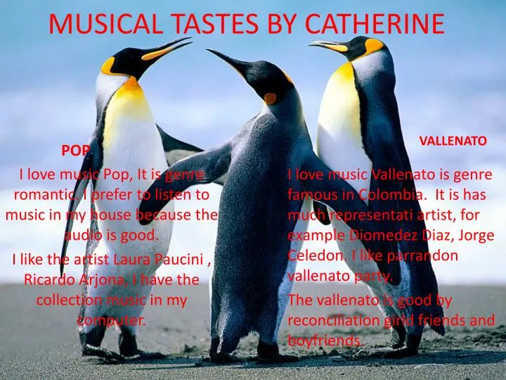 musical tastes by catherine