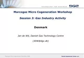 Marcogaz Micro Cogeneration Workshop Session 3: Gas Industry Activity