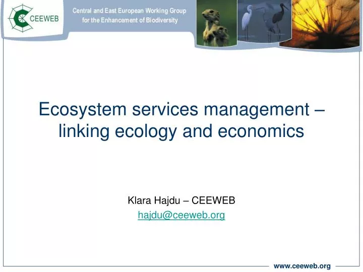 ecosystem services management linking ecology and economics