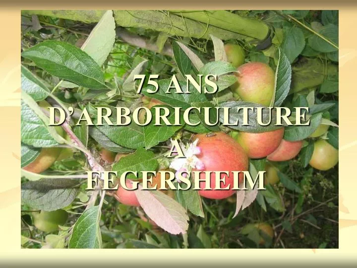75 ans d arboriculture a fegersheim