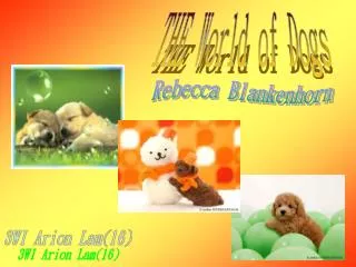 THE World of Dogs