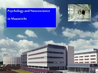 Psychology and Neuroscience in Maastricht
