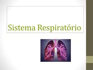 sistema respirat rio