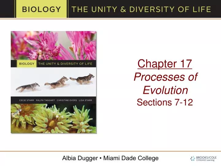 chapter 17 processes of evolution sections 7 12