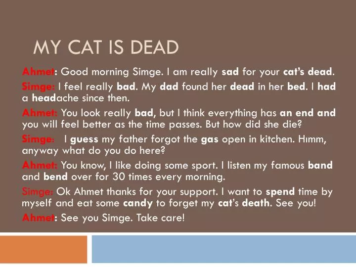my cat is dead