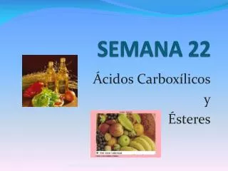 semana 22