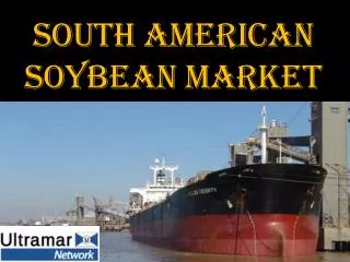 SOUTH AMERICAN SOYBEAN MARKET