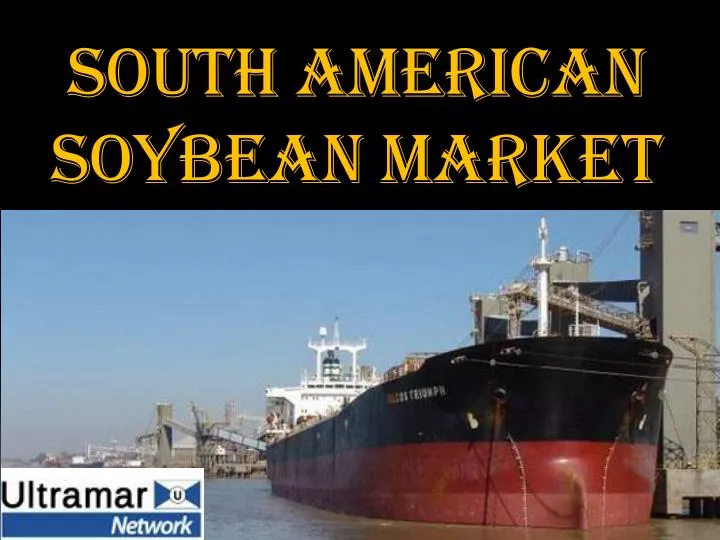 south american soybean market
