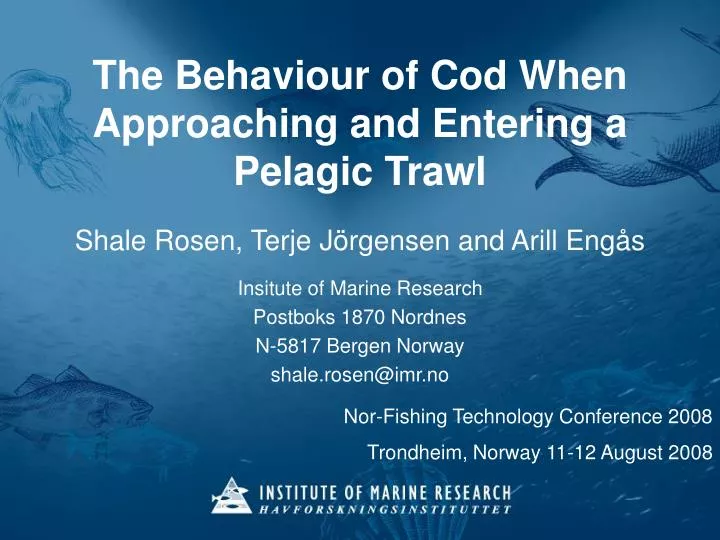 the behaviour of cod when approaching and entering a pelagic trawl