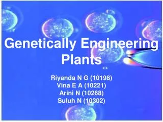Genetically Engineering Plants