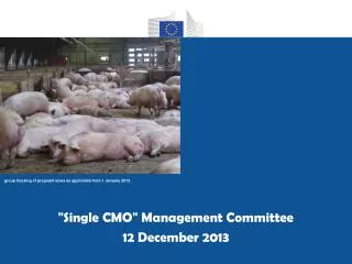 &quot; Single CMO &quot; Management Committee 12 December 2013