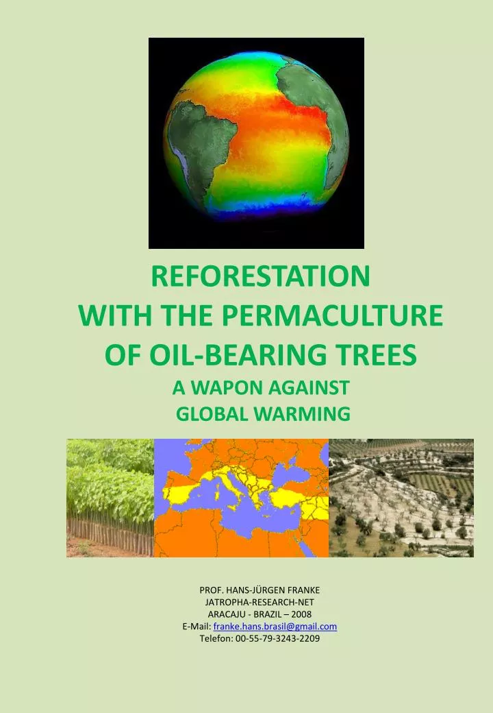 reforestation with the permaculture of oil bearing trees a wapon against global warming
