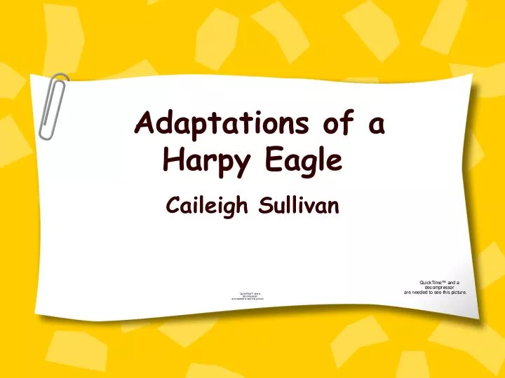 adaptations of a harpy eagle