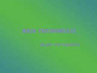 aria triunghiului