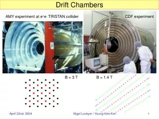 Drift Chambers