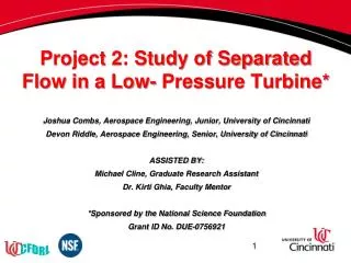 Project 2: Study of Separated Flow in a Low- Pressure Turbine*