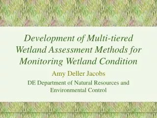 Development of Multi-tiered Wetland Assessment Methods for Monitoring Wetland Condition