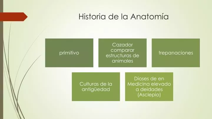 historia de la anatom a
