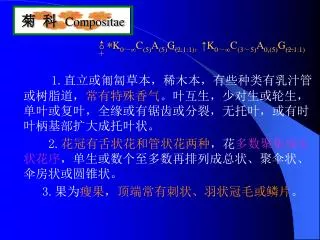 compositae