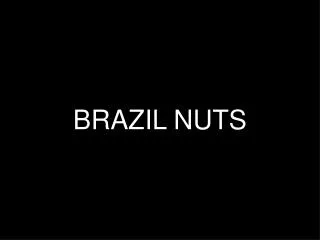 BRAZIL NUTS