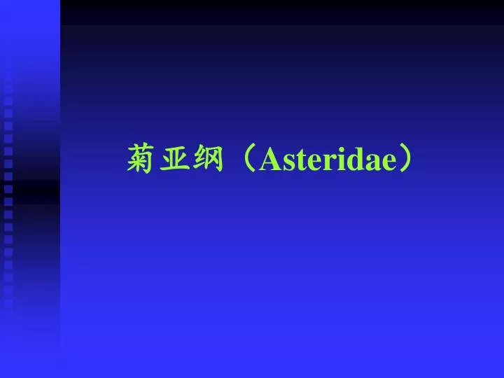asteridae