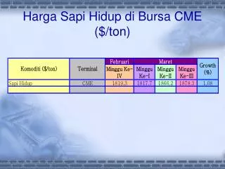 harga sapi hidup di bursa cme ton