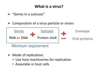 What is a virus?