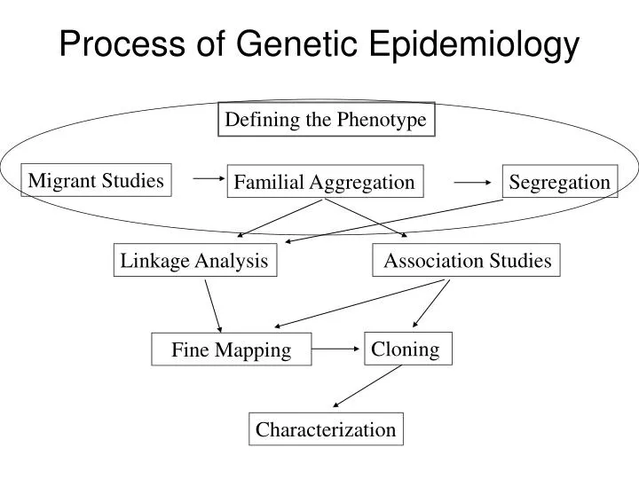 process of genetic epidemiology