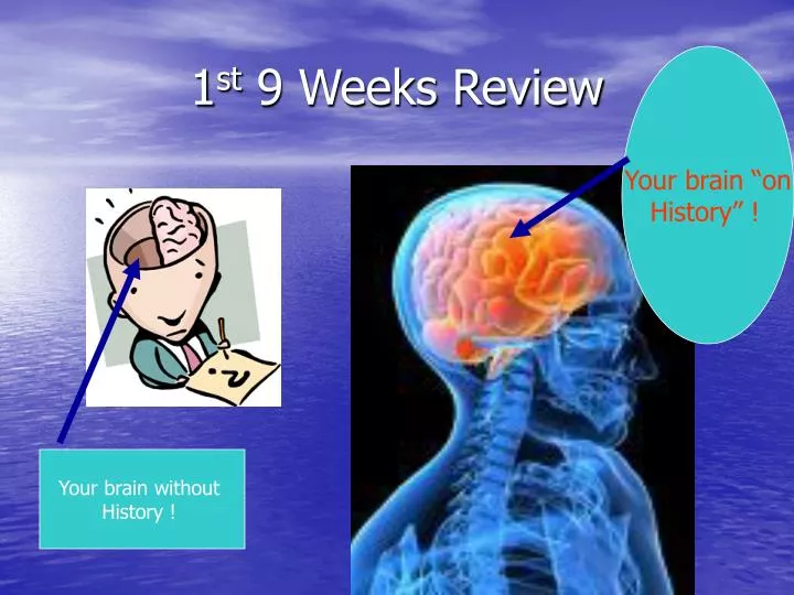 1 st 9 weeks review