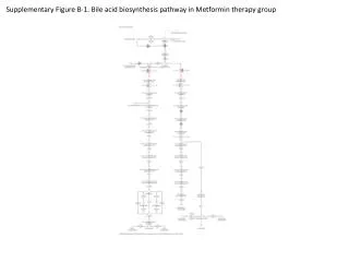 Supplementary Figure B-1. Bile acid biosynthesis pathway in Metformin therapy group