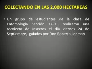 colectando en las 2 000 hectareas