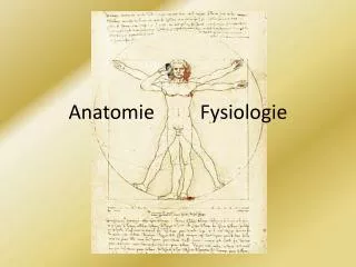 anatomie fysiologie