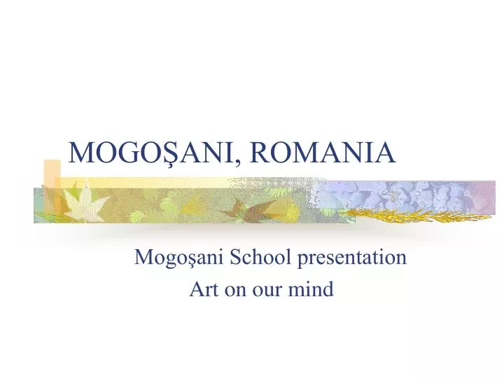 mogo ani romania