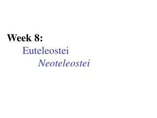 Week 8: Euteleostei Neoteleostei