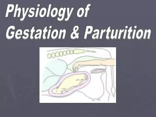 Physiology of Gestation &amp; Parturition