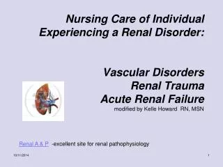 Renal A &amp; P -excellent site for renal pathophysiology