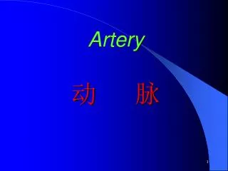 artery