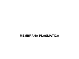 membrana plasm tica
