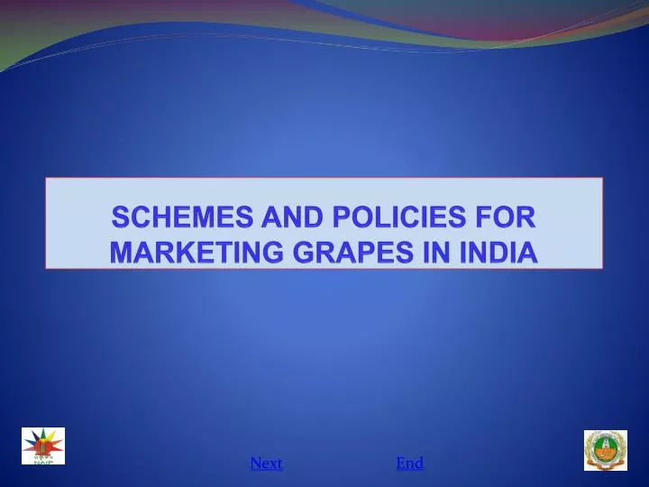 schemes and policies for marketing grapes in india