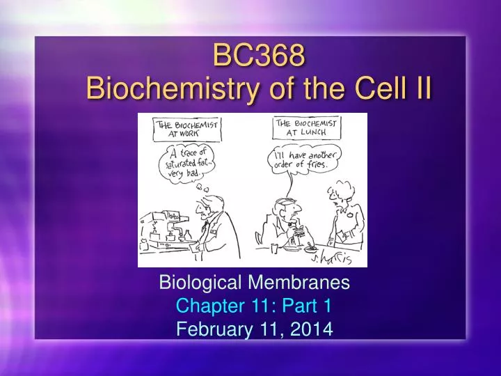bc368 biochemistry of the cell ii