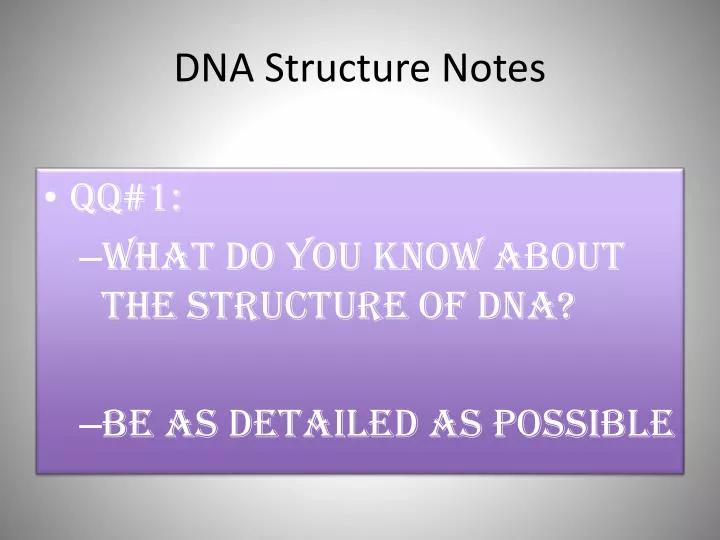dna structure notes