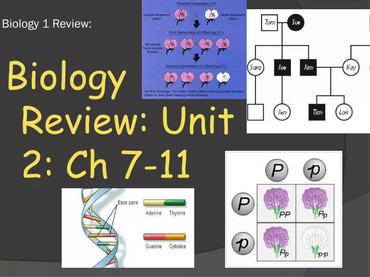 biology 1 review