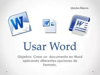 usar word