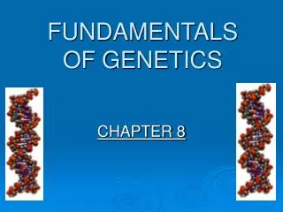 FUNDAMENTALS OF GENETICS